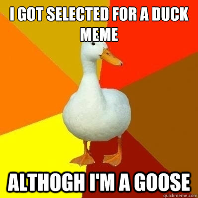 i got selected for a duck meme althogh i'm a goose  Technologically Impaired Duck