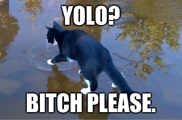YOLO?  Bitch please. - YOLO?  Bitch please.  Jesus Cat