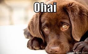                OHAI                     Misc