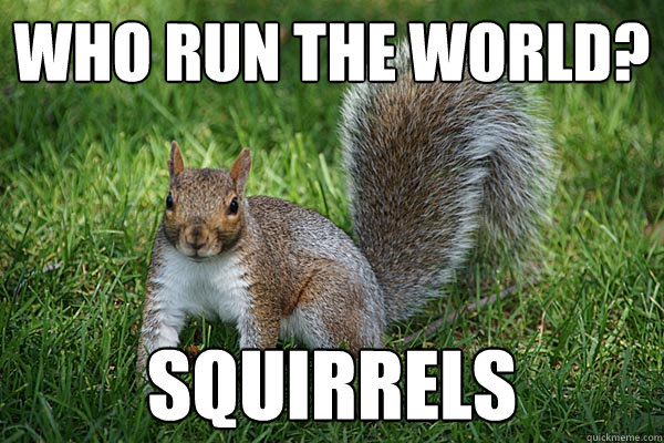 Who run the world? Squirrels  Adele