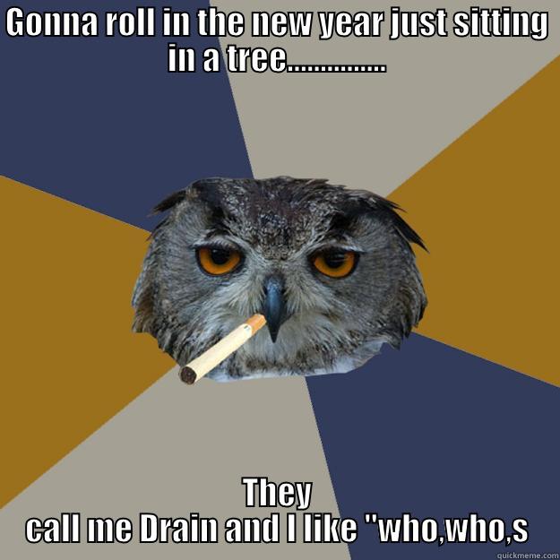 bored ass bird brain - GONNA ROLL IN THE NEW YEAR JUST SITTING IN A TREE............... THEY CALL ME DRAIN AND I LIKE 