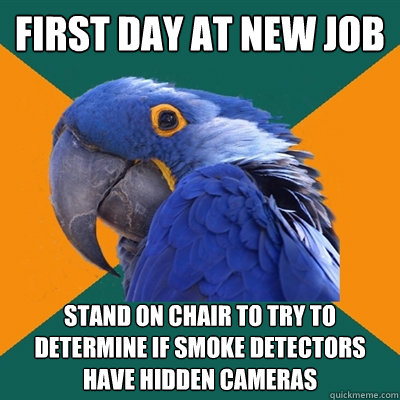 First day at new job Stand on chair to Try to determine if smoke detectors have hidden cameras  Paranoid Parrot