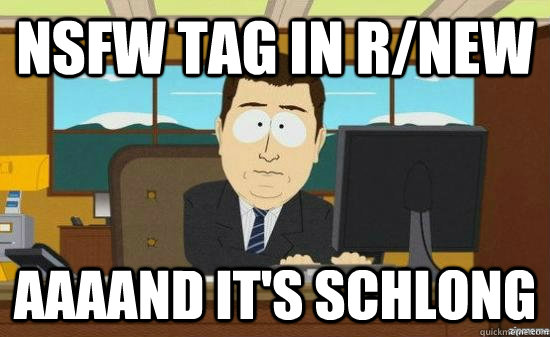 Nsfw tag in r/new Aaaand it's schlong  aaaand its gone