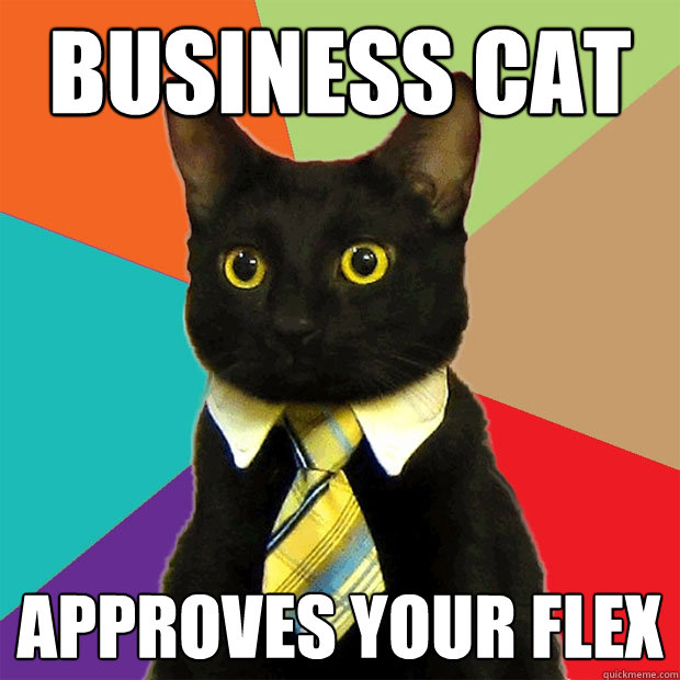 Business Cat Approves your flex - Business Cat Approves your flex  Business Cat