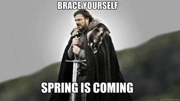 Spring is coming Brace Yourself  Ned stark winter is coming