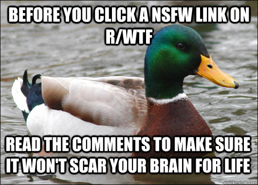 Before you click a NSFW link on r/WTF read the comments to make sure it won't scar your brain for life  Actual Advice Mallard