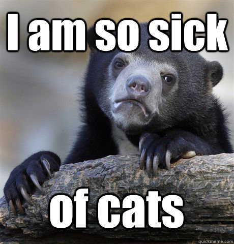 I am so sick of cats - I am so sick of cats  Confession Bear
