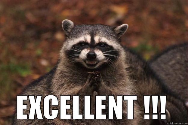 LOLILOL EXCELLENT -  EXCELLENT !!! Evil Plotting Raccoon