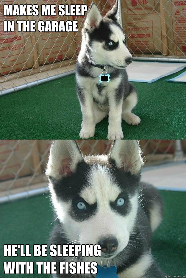 Makes me sleep
in the garage He'll be sleeping
with the fishes  Insanity puppy