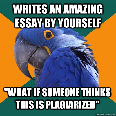 Writes an amazing essay by yourself 