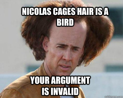 nicolas cages hair is a bird your argument is invalid - nicolas cages hair is a bird your argument is invalid  Crazy Nicolas Cage