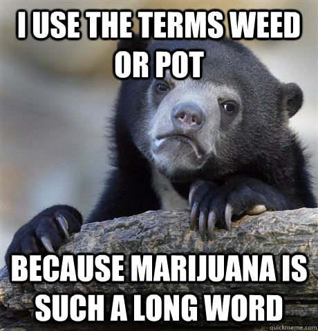 i use the terms weed or pot because marijuana is such a long word  Confession Bear