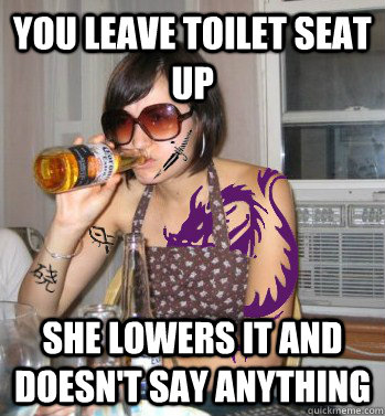 You leave toilet seat up She lowers it and doesn't say anything - You leave toilet seat up She lowers it and doesn't say anything  Misc