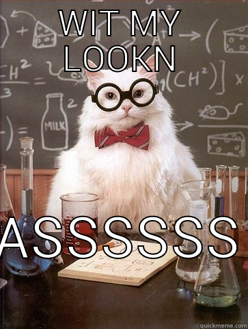 Looking  - WIT MY LOOKN ASSSSSS Chemistry Cat