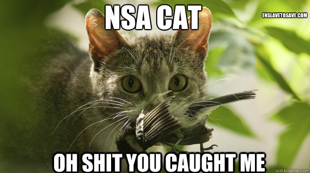 NSA cat Oh shit you caught me enslavetosave.com  