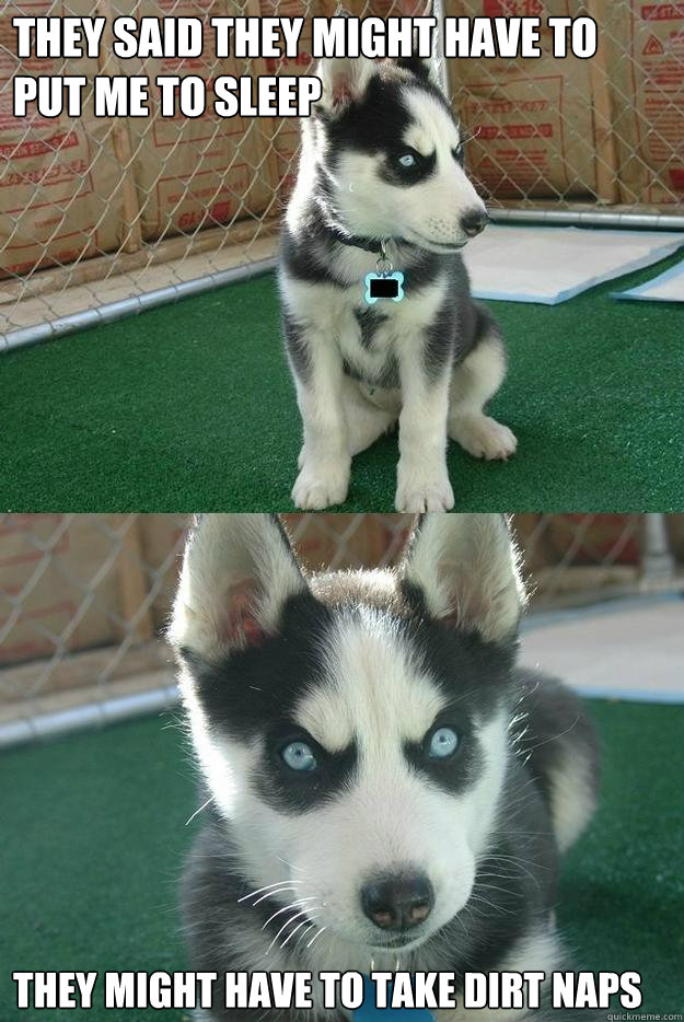 they said they might have to put me to sleep they might have to take dirt naps  Insanity puppy