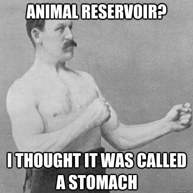 Animal reservoir? I thought it was called a stomach  overly manly man