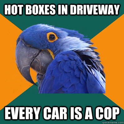 hot boxes in driveway every car is a cop  Paranoid Parrot