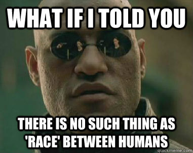 what if i told you There is no such thing as 'race' between humans  