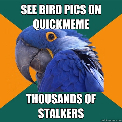 See bird pics on quickmeme Thousands of stalkers  Paranoid Parrot