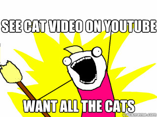 See cat video on youtube Want all the cats  All The Things