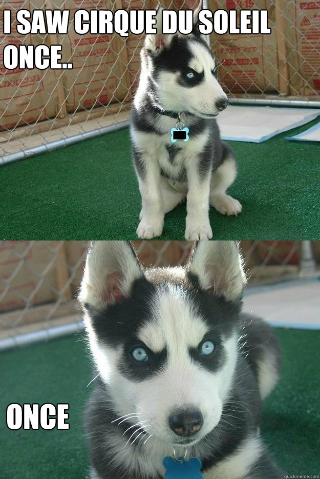 I saw Cirque du Soleil once.. ONCE  Insanity puppy