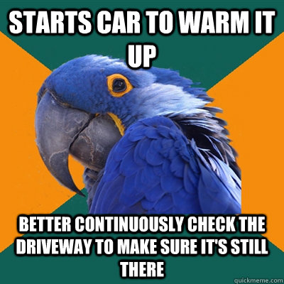 starts car to warm it up better continuously check the driveway to make sure it's still there  Paranoid Parrot