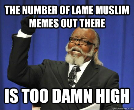 The number of lame Muslim memes out there is too damn high  Too Damn High
