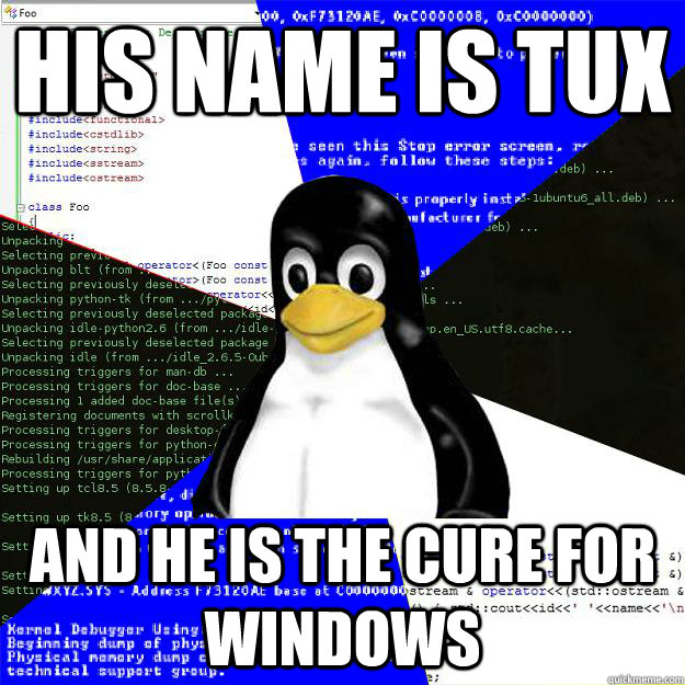 His name is tux and he is the cure for windows  Computer Science Penguin