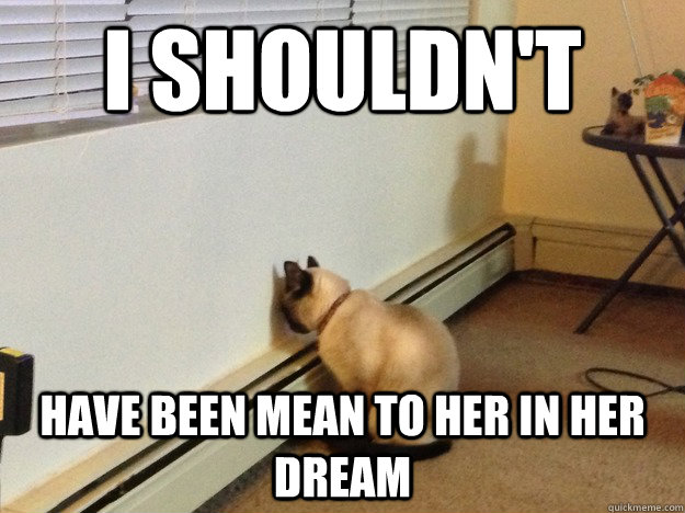 I shouldn't Have been mean to her in her dream  Regretful Cat