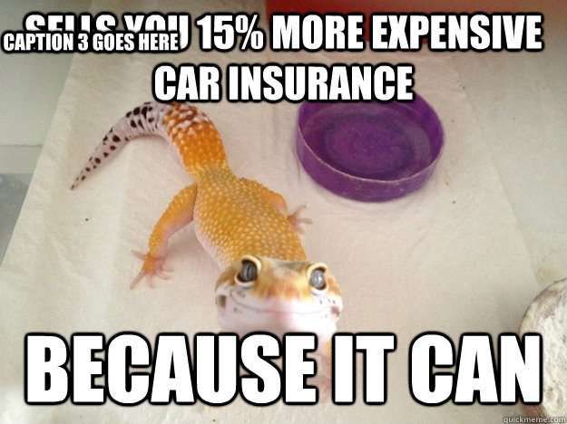 Sells you 15% more expensive car insurance because it can Caption 3 goes here  Ridiculously Photogenic Gecko