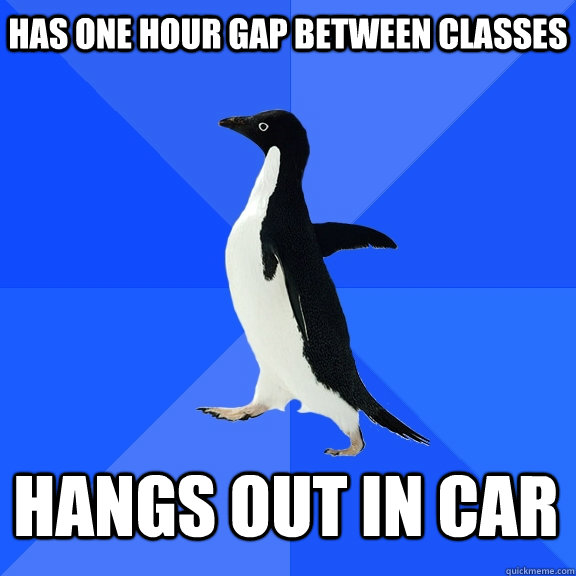 Has one hour gap between classes Hangs out in car  Socially Awkward Penguin