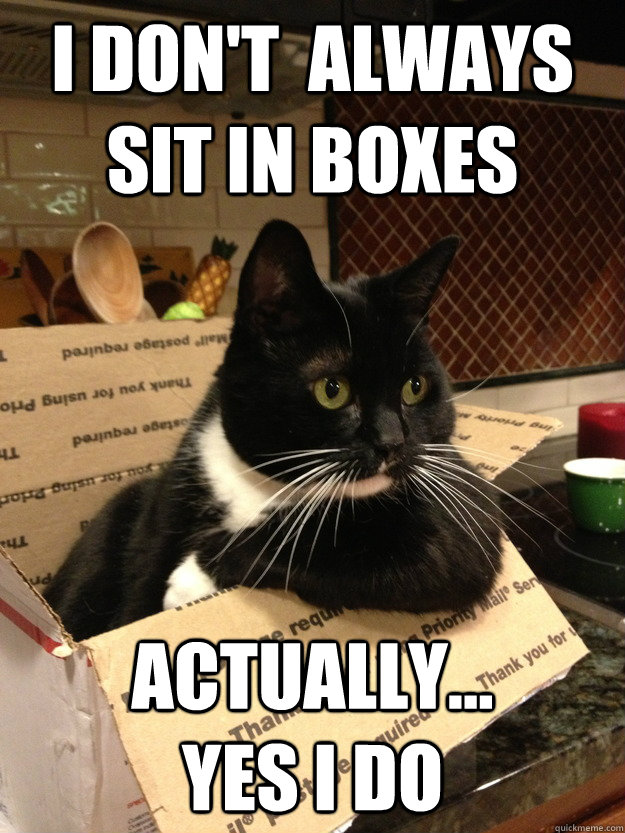 I don't  always sit in boxes Actually...          yes I do - I don't  always sit in boxes Actually...          yes I do  Misc