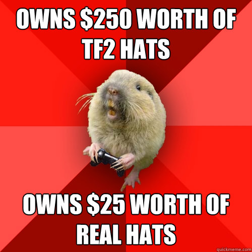 Owns $250 worth of TF2 hats Owns $25 worth of real hats  Gaming Gopher