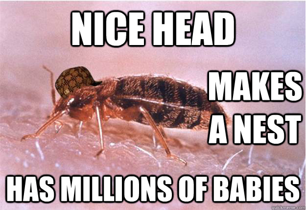 nice head has millions of babies makes a nest  Scumbag Bed Bug