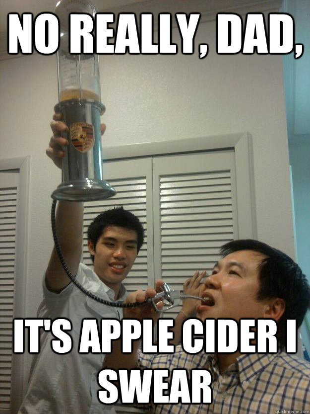 No really, dad, It's apple cider i swear - No really, dad, It's apple cider i swear  Devious Asian Teenager