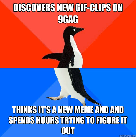 Discovers new gif-Clips on 9gag thinks it's a new meme and and spends hours trying to figure it out  Socially Awesome Awkward Penguin