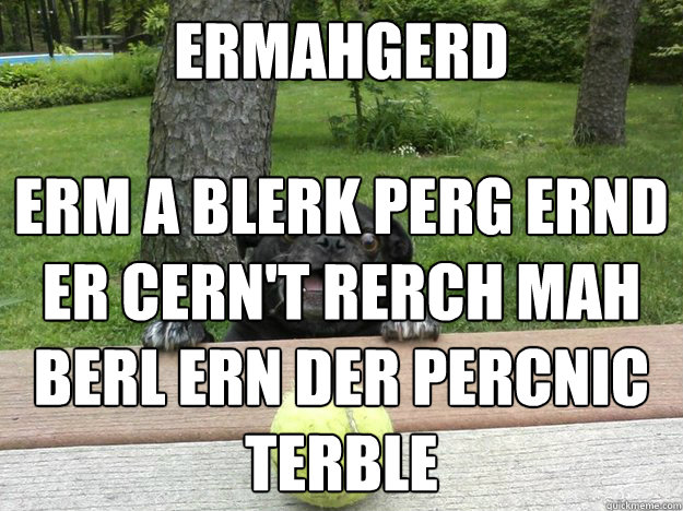 ermahgerd erm a blerk perg ernd er cern't rerch mah berl ern der percnic terble  Berks Dog