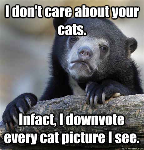 I don't care about your cats. Infact, I downvote every cat picture I see.  Confession Bear