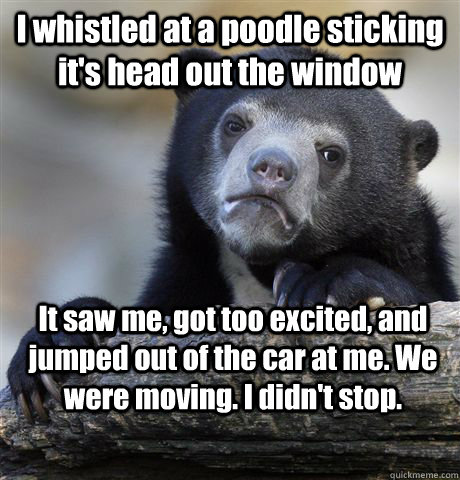 I whistled at a poodle sticking it's head out the window It saw me, got too excited, and jumped out of the car at me. We were moving. I didn't stop.  Confession Bear
