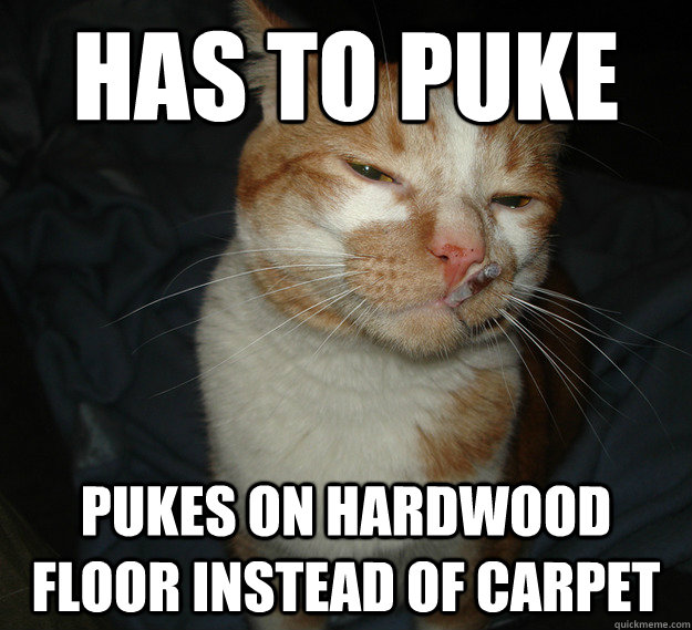 Has to puke pukes on hardwood floor instead of carpet - Has to puke pukes on hardwood floor instead of carpet  Good Guy Cat