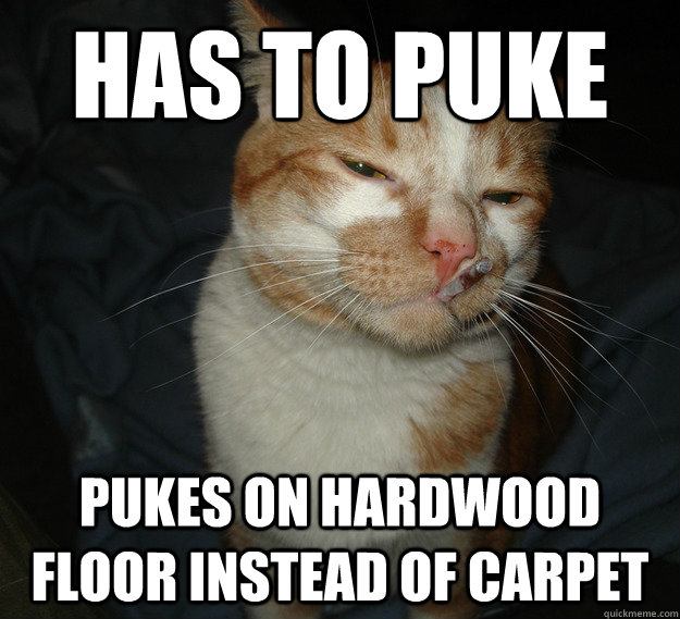 Has to puke pukes on hardwood floor instead of carpet  Good Guy Cat