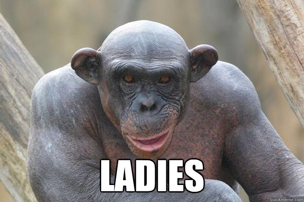  ladies -  ladies  Bald Chimp