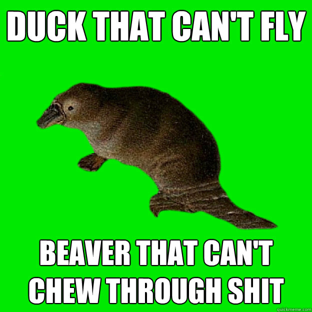 duck that can't fly beaver that can't chew through shit  - duck that can't fly beaver that can't chew through shit   Non-sequitur Platypus