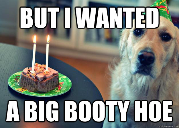 but I wanted  a big booty hoe  Sad Birthday Dog