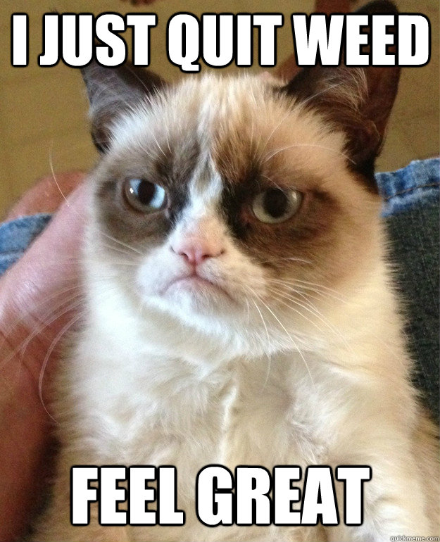 I JUST QUIT WEED FEEL GREAT  Grumpy Cat