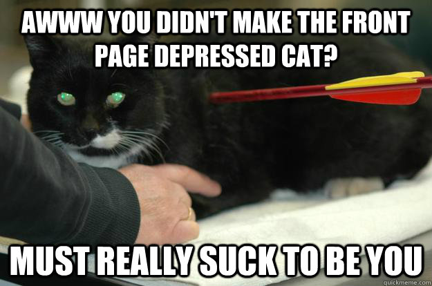 Awww you didn't make the front page depressed cat? Must really suck to be you  Worlds Toughest Cat