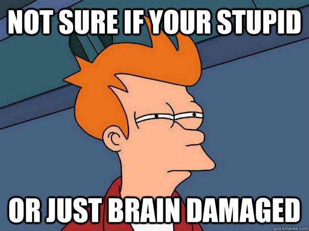 Not sure if your stupid or just brain damaged   Futurama Fry
