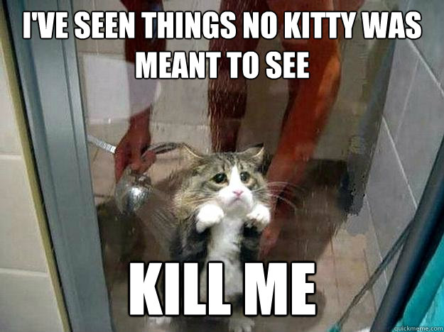 I've seen things no kitty was meant to see KILL ME - I've seen things no kitty was meant to see KILL ME  Shower kitty