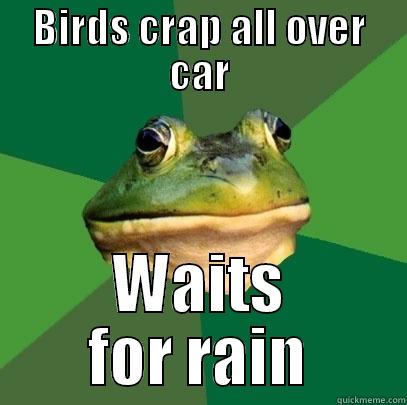 BIRDS CRAP ALL OVER CAR WAITS FOR RAIN Foul Bachelor Frog